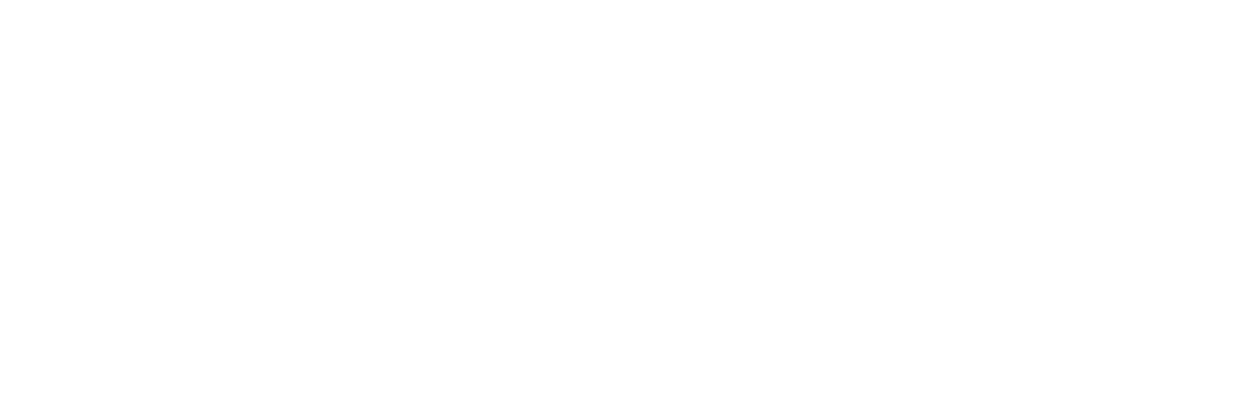 Exec Automotive